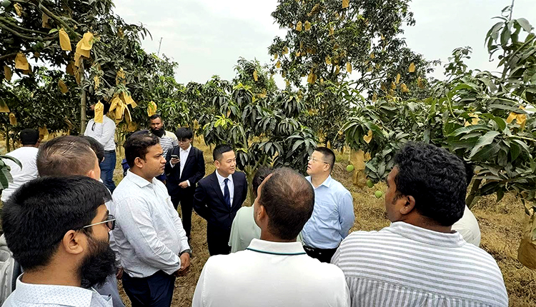 Mango China Ambassador