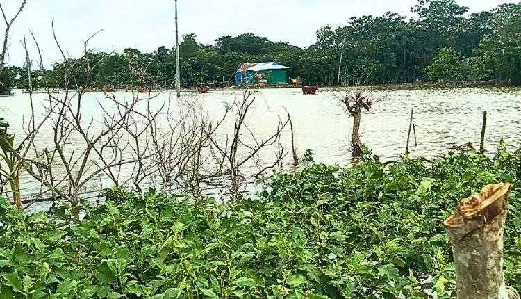Tiro Bangla 18